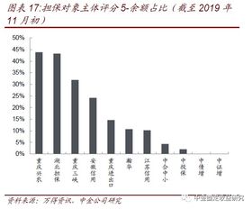 透過城投和非國企債擔保解析擔保公司 專業擔保公司信用風險跟蹤 一
