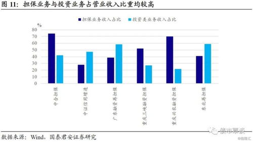 繁華落盡,回歸初心 擔(dān)保行業(yè)信用深度報告