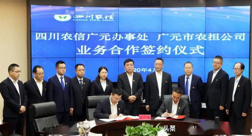 四川省電視藝術(shù)家協(xié)會團體會員單位在行動 七十七