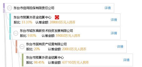 東臺市信用擔(dān)保有限責(zé)任公司的信用擔(dān)保服務(wù)及其價(jià)值